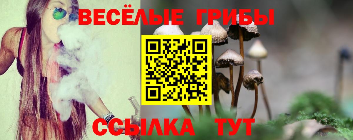Ртищево  Галлюциногенные грибы MAGIC MUSHROOMS  купить   Вход с VPN 